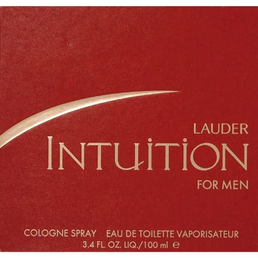 Estee Lauder Intuition Edt 100ml Perfume (Men)
