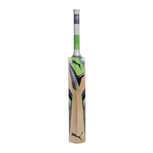 Puma Evospeed Chromium 2500 English Willow Cricket Bat