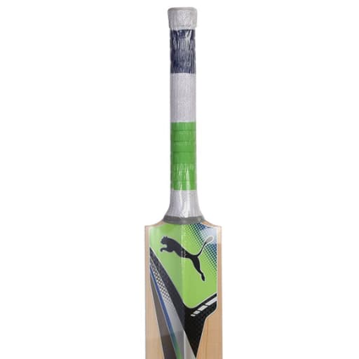 Puma Evospeed Chromium 2500 English Willow Cricket Bat