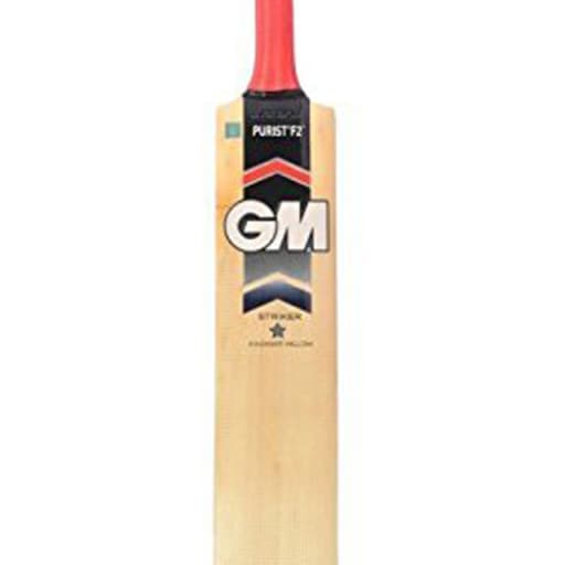 Gm Purist F2 101 Kashmir Willow Cricket Bat