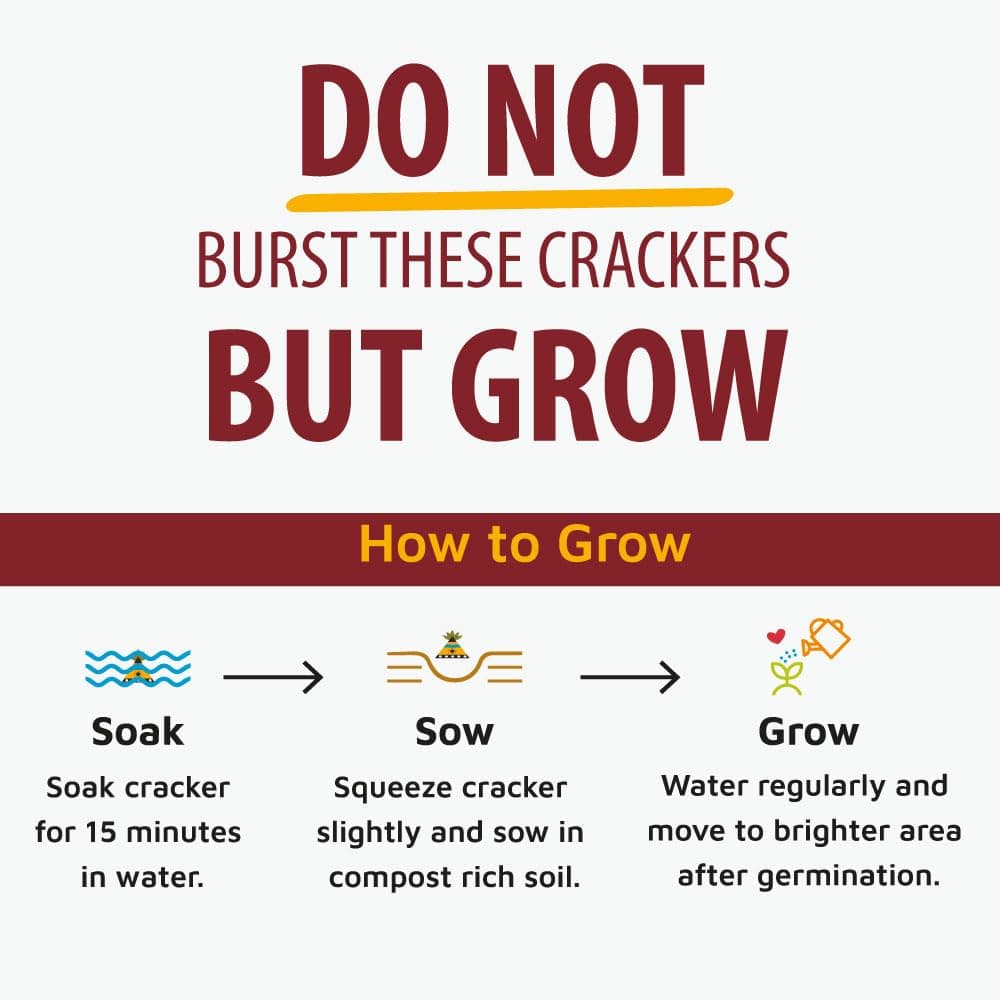 lazy gardener Plantable Shape Crackers Gif Box 5