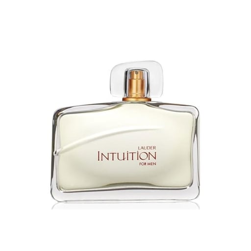 Estee Lauder Intuition Edt 100ml Perfume (Men)