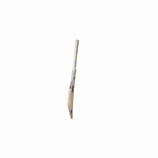 ALIEN 2 FAST CRICKET BAT